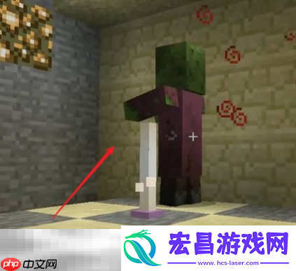 僵尸恢复成村民方法介绍