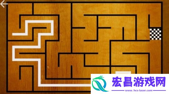 孩子们的迷宮截图