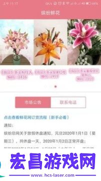 缤纷鲜花截图