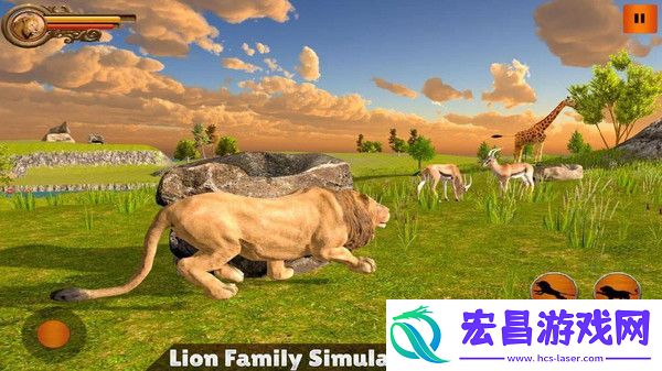 丛林狮群模拟手机安卓版截图