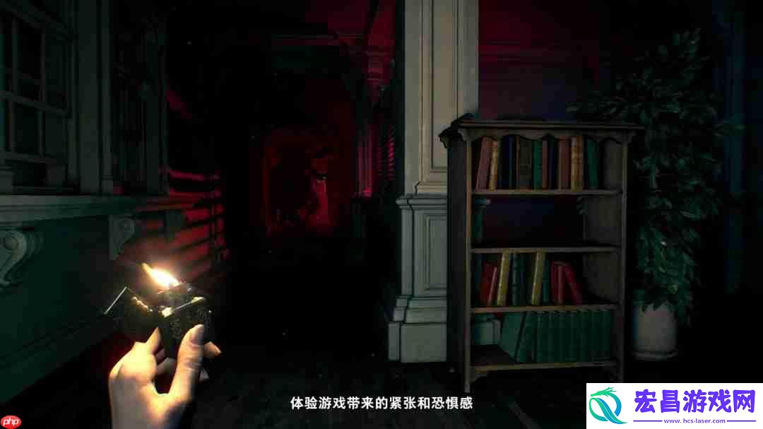 介绍游戏背景和女主角