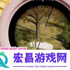 绝地求生中战斗形态锅妹介绍