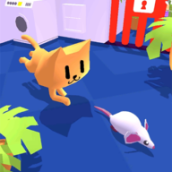 小猫捉老鼠最新版