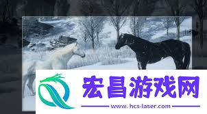 燕云十六声寻二马记任务完成方法
