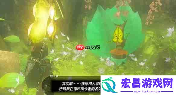 纳末敏的寻宝游戏任务攻略