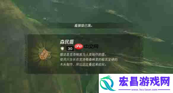 纳末敏的寻宝游戏任务攻略