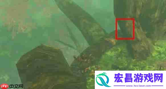 纳末敏的寻宝游戏任务攻略