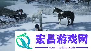 燕云十六声寻二马记任务完成方法