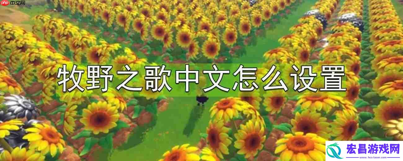 中文设置方法分享