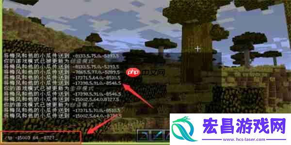 我的世界传送到指定坐标方法攻略