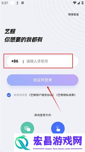 艺鲸