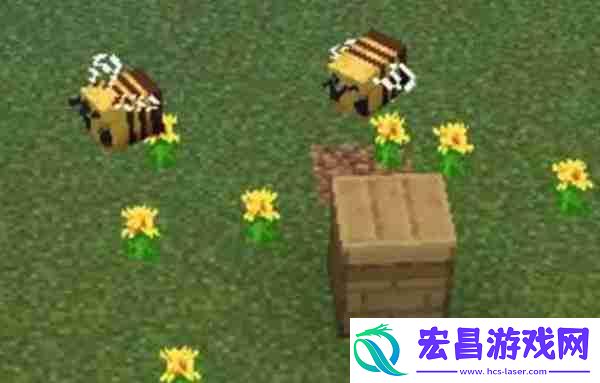 我的世界养殖蜜蜂方法