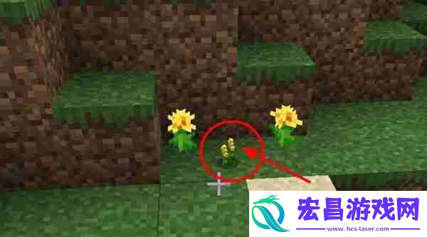 我的世界养殖蜜蜂方法