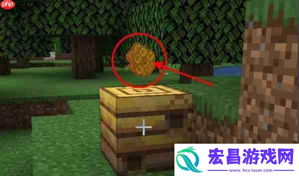 我的世界养殖蜜蜂方法