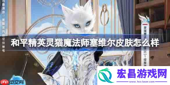 和平精英灵猫魔法师塞维尔皮肤价格