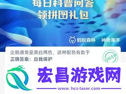 企鹅黑白两色的配色有何作用