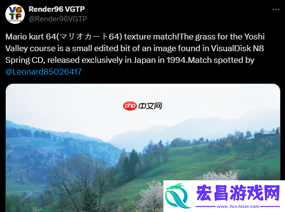 老外找到马里奥赛车64难辨草地纹理原型