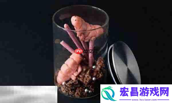 治疗方式介绍