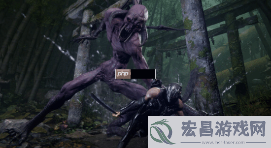忍者龙剑传4隼龙新实机