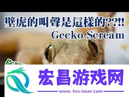 壁虎是否会发出声响