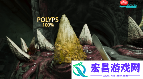 带你体验高压生存牙科手术