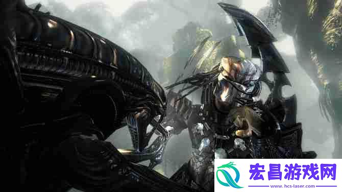 朋友支援活动助力