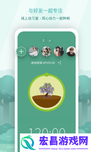 专注森林截图