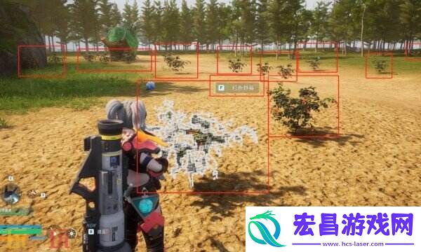 帕鲁渡岛海岸详细收集方法