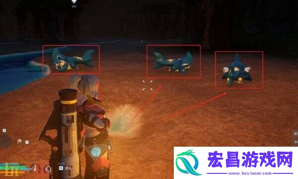 帕鲁渡岛海岸详细收集方法