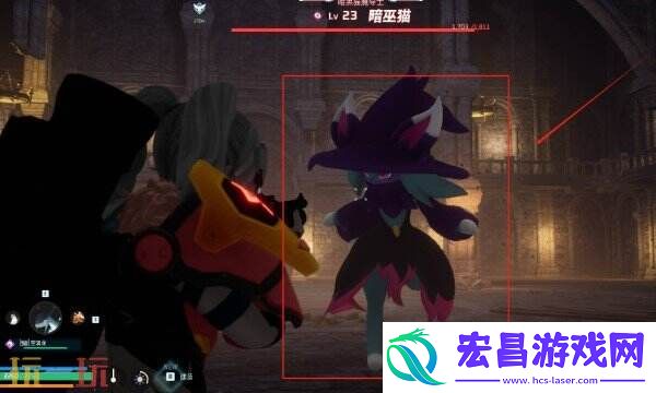 帕鲁渡岛海岸详细收集方法