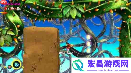 咚奇刚