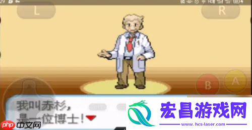口袋妖怪盖亚第一周目攻略