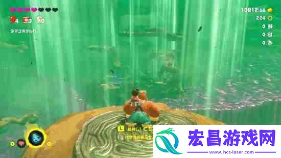 数毛社评咚奇刚