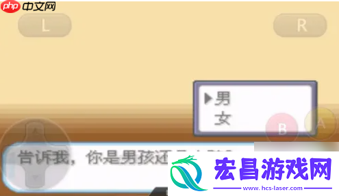 口袋妖怪盖亚第一周目攻略
