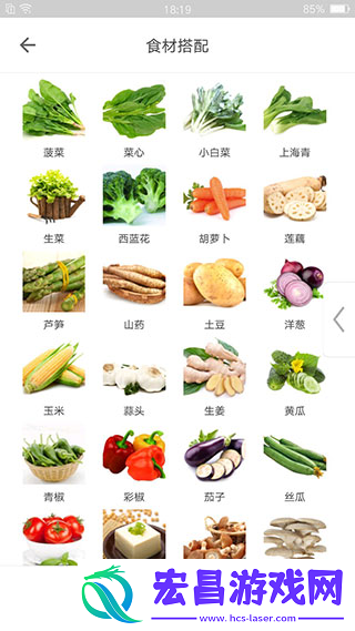 掌厨网