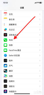 苹果手机开启电话呼叫转移功能的方法