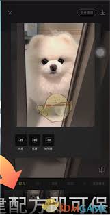 醒图保存模板的方法