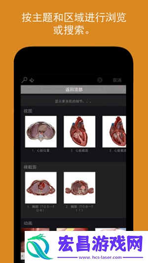 人体解剖学图谱截图