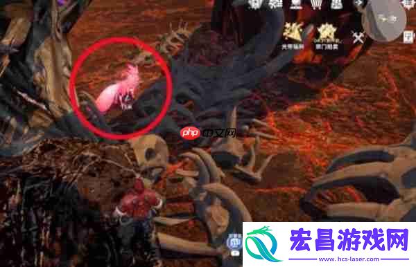 斗罗大陆猎魂世界震荡队搭配攻略