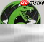 曼因技能呈现