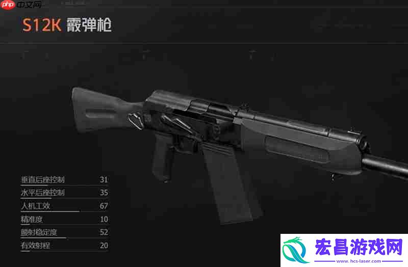 S12K霰弹枪详细评测