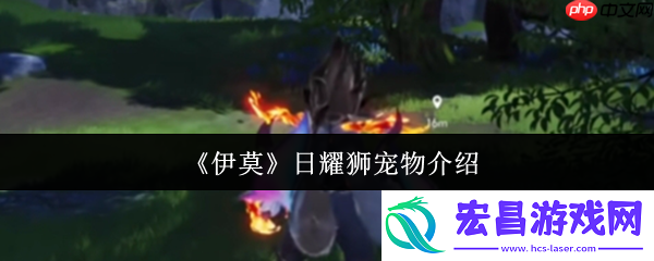 伊莫日耀狮宠物全解析：新手开荒的黄金利爪