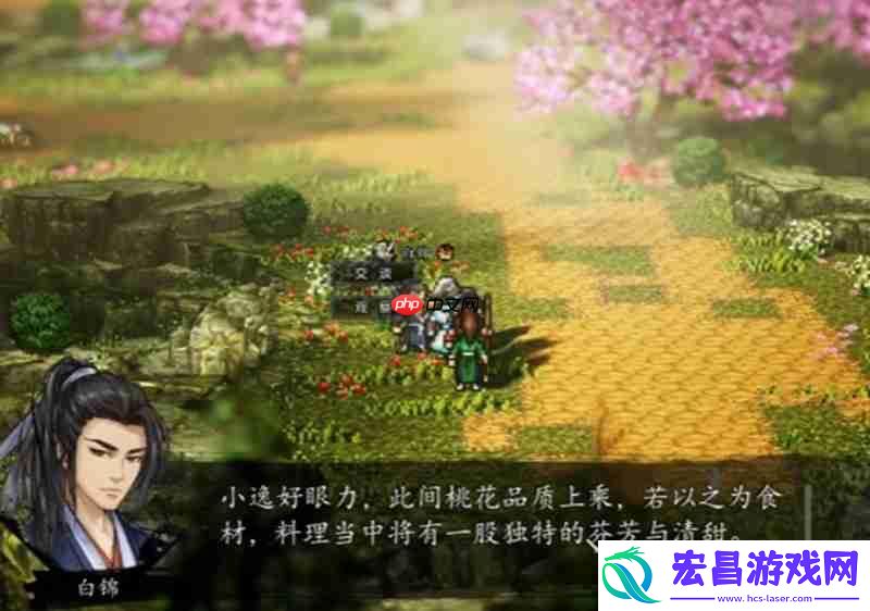 白锦任务流程详细攻略