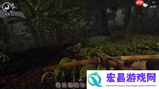 能随便改美女模型！开放世界恋爱生存游戏孤岛笔记即将发售
