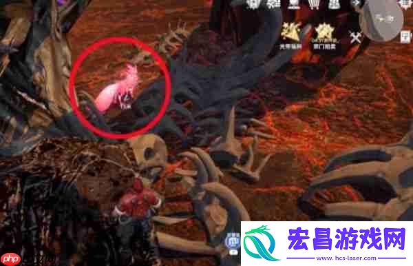 斗罗大陆猎魂世界妖狐玩法介绍