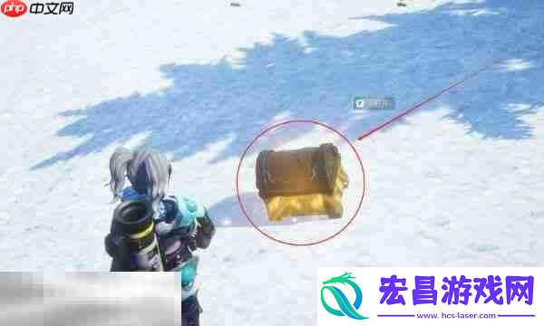 帕鲁保护团体的高塔入口攻略