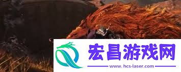 艾尔登法环新手玩黑夜君临选什么职业-艾尔登法环黑夜君临新手适合选哪个职业