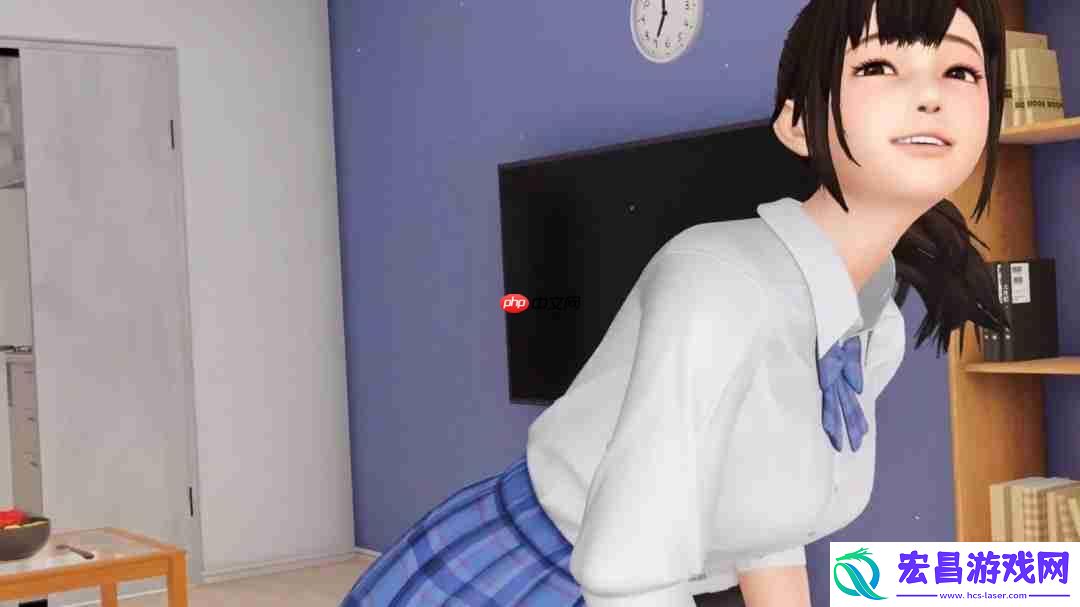 情感新寄托