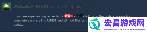剑星新补丁致部分玩家无法进游戏