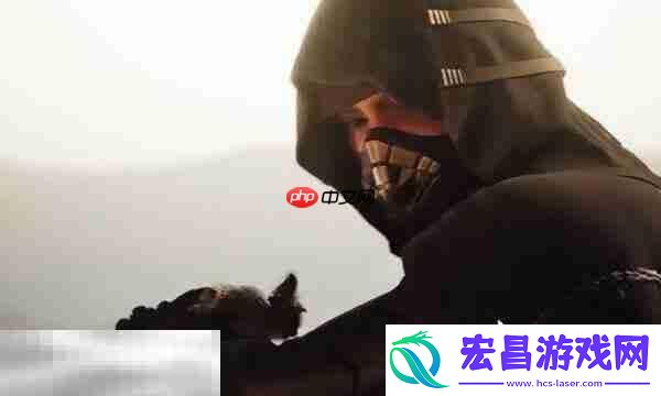 必备准备与丰厚收益